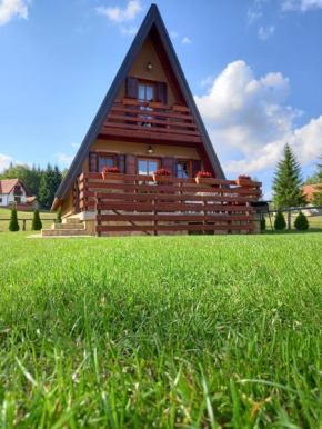 Mountain House Tadić 1